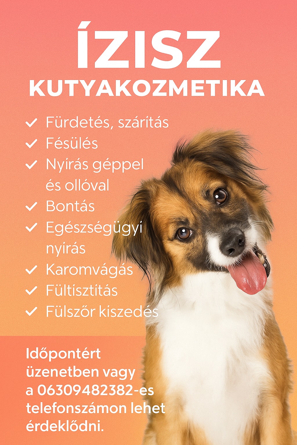 Ízisz Kutyakozmetika kép 1