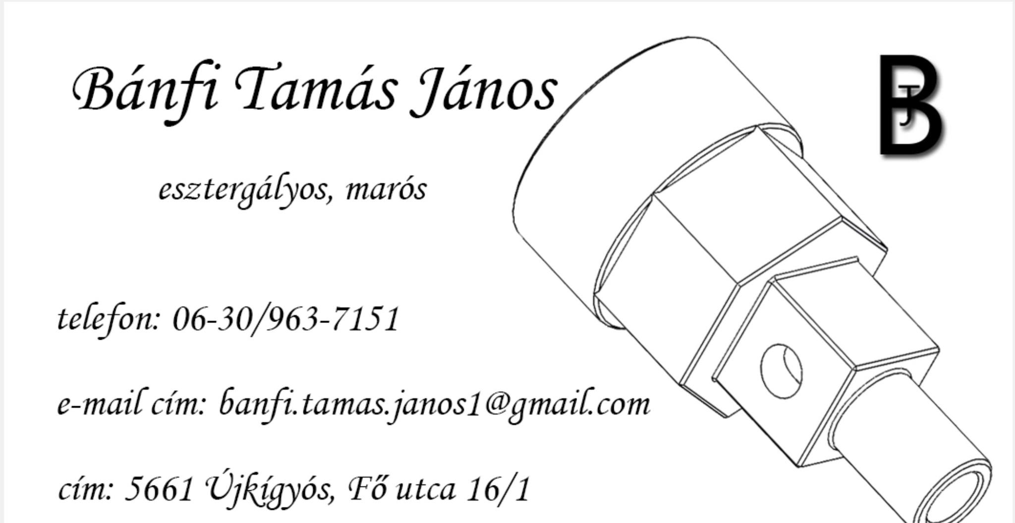 Bánfi Tamás János kép 1