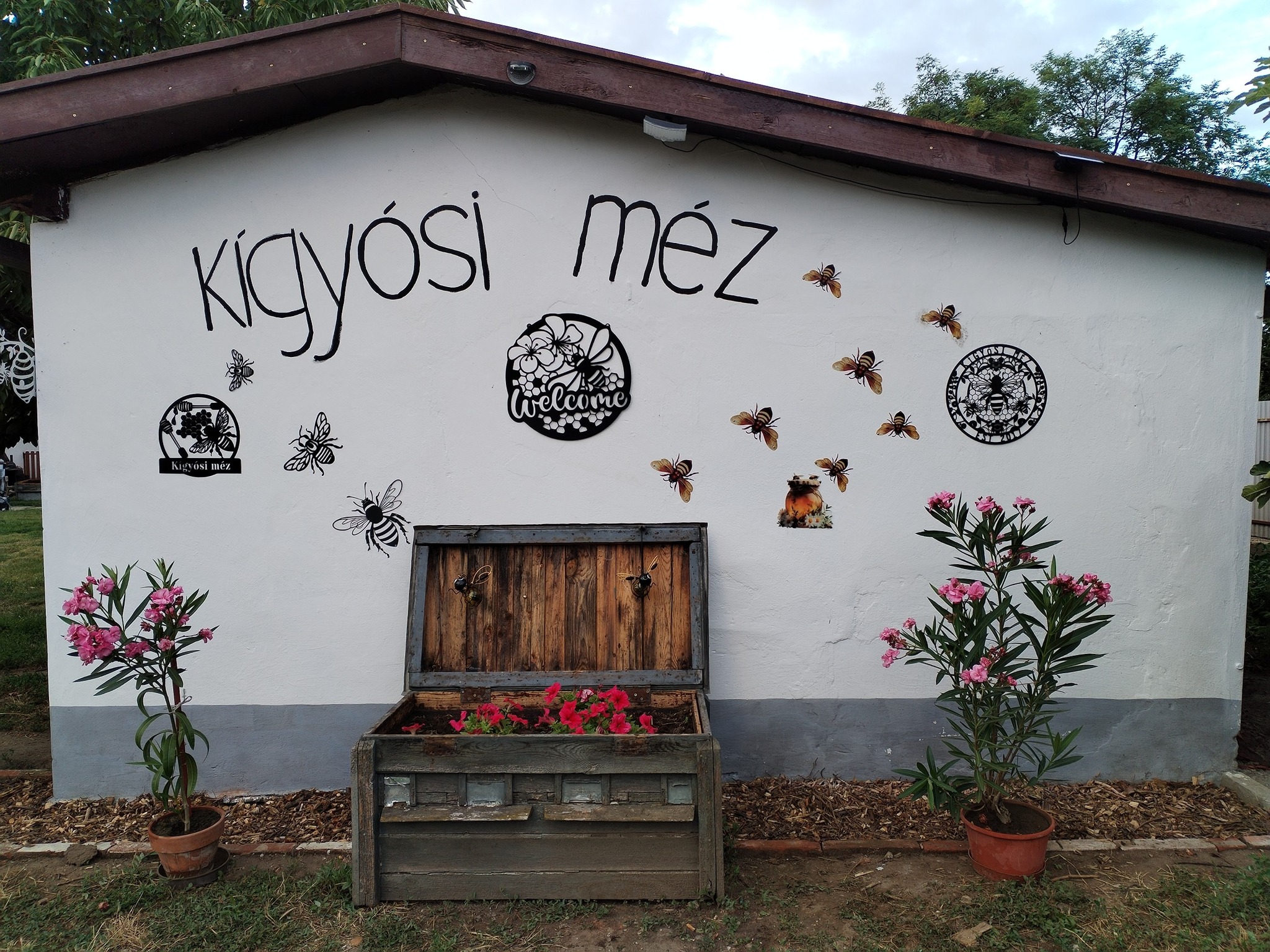 Kígyósi Méz bemutatókép