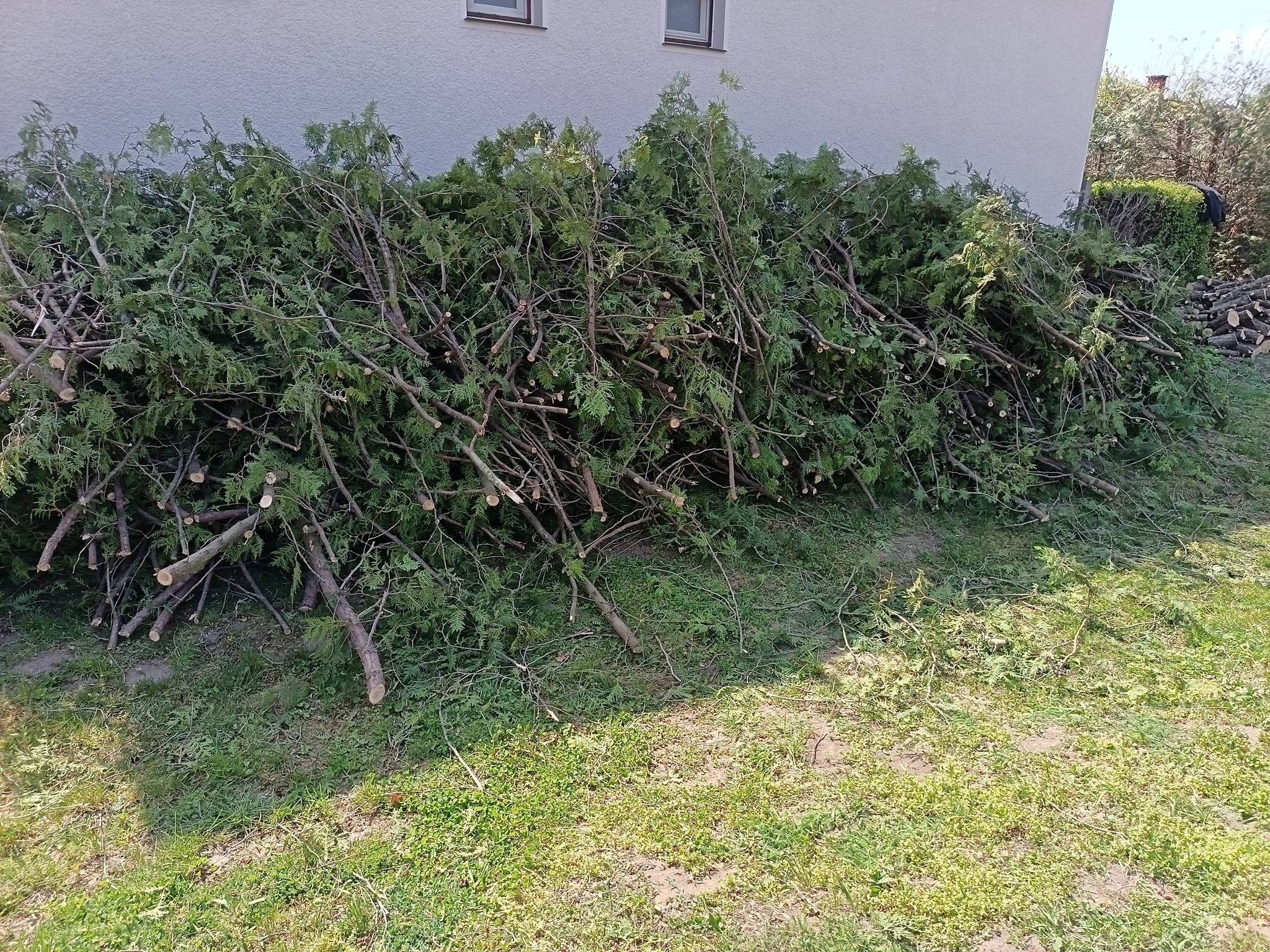 Zöldterületek karbantartása kép 3